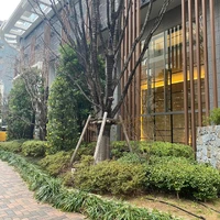 画像309