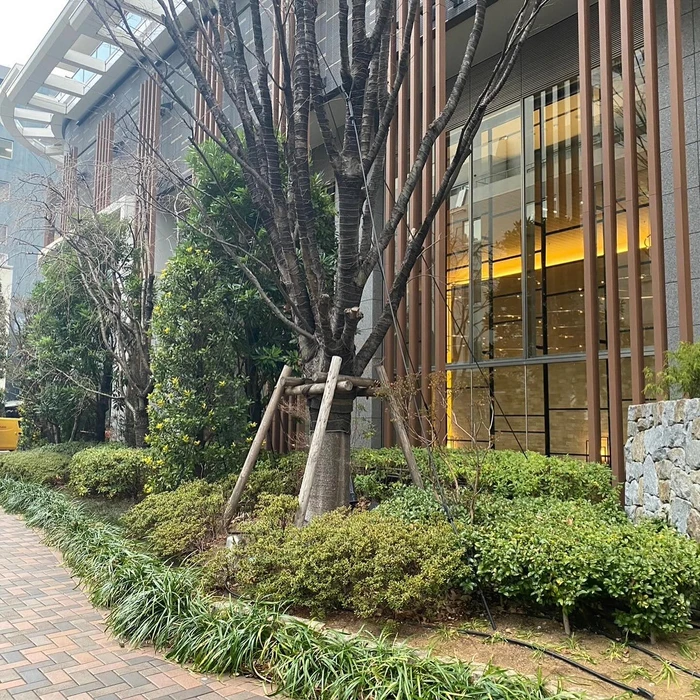 画像309