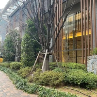画像377