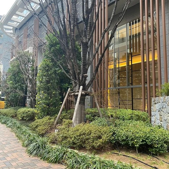 画像377