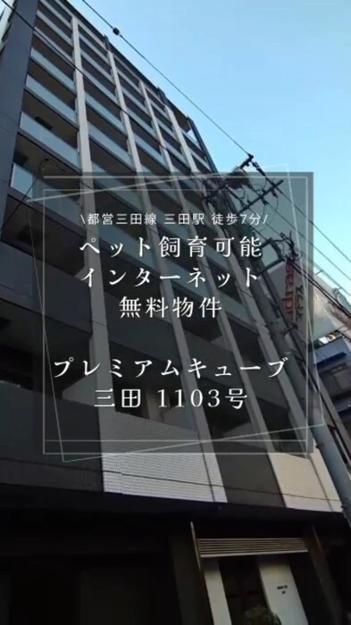 画像568