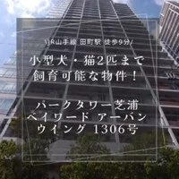 画像588