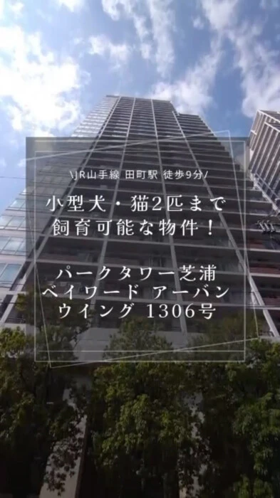 画像588