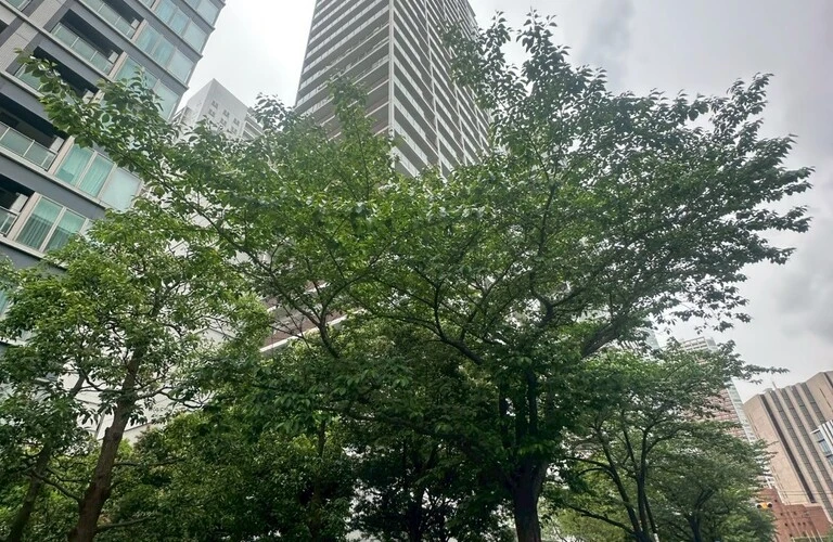 港区のマンション売却、あなたの成功を全力サポート！